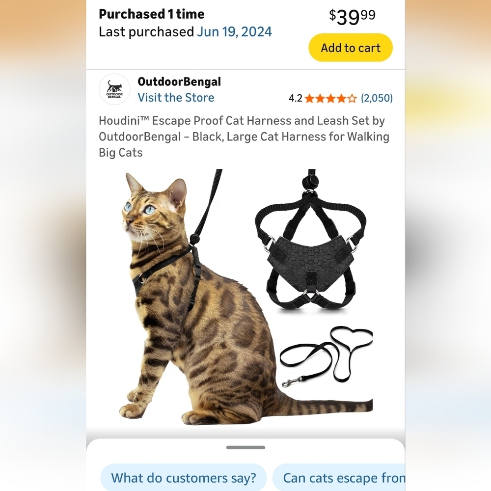 Large Cat Harness and Leash Set